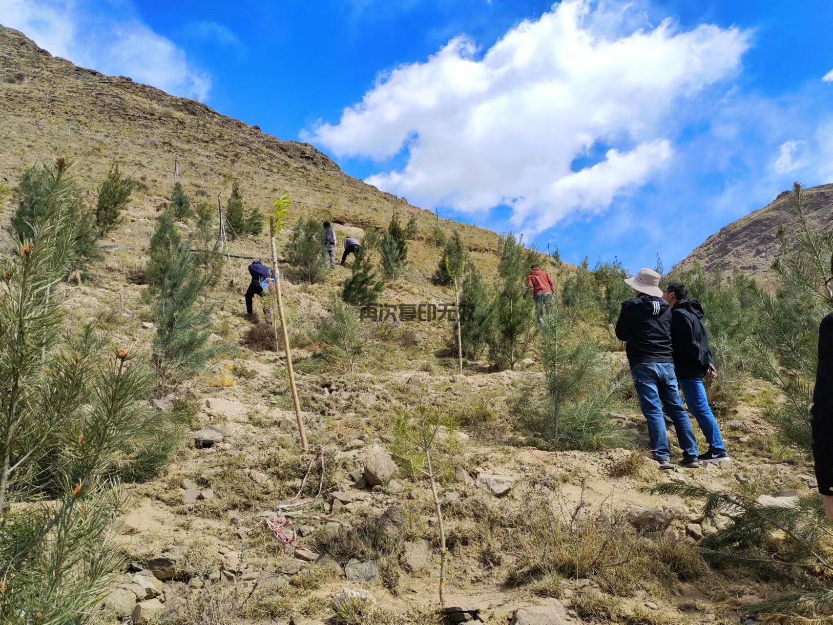 西藏嘉棟工程，與你共繪六一歡樂時光